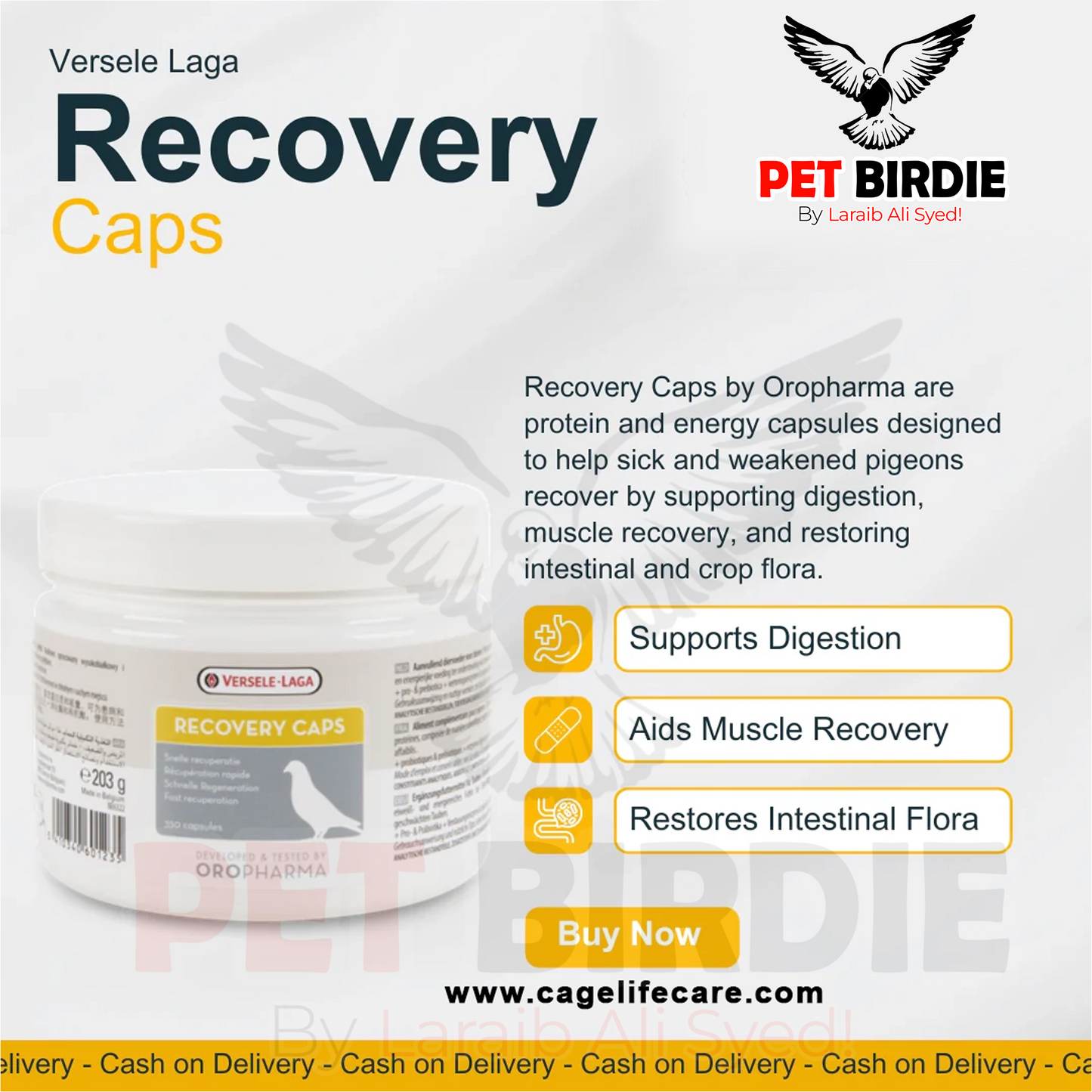 Recovery Caps – For Recovery and Health Maintenance
