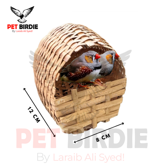 Finch Nest Bambo