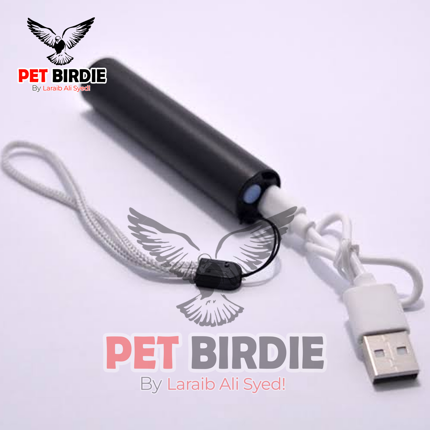 Egg Candling Flashlight - High Quality LED Light