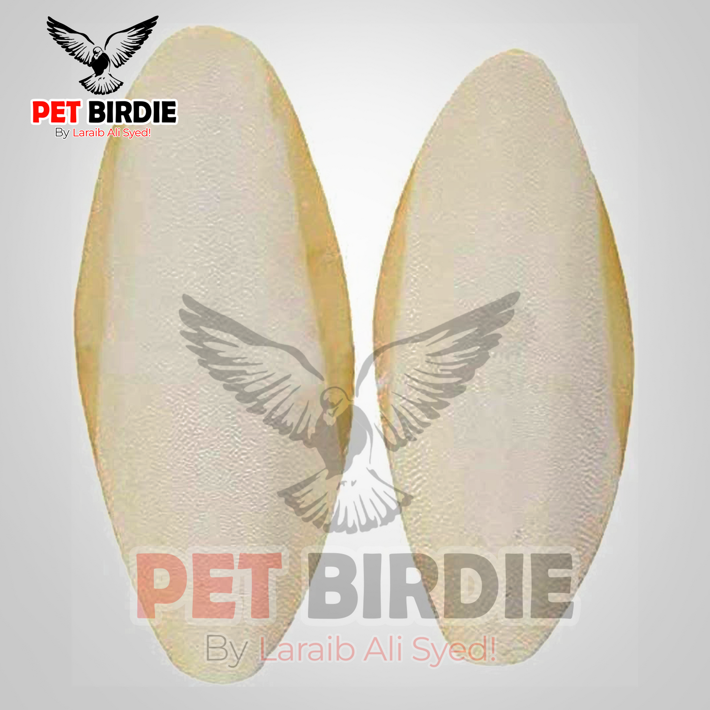 Cuttle Fish Bone 100% Natural Product Natural Source Of Calcium