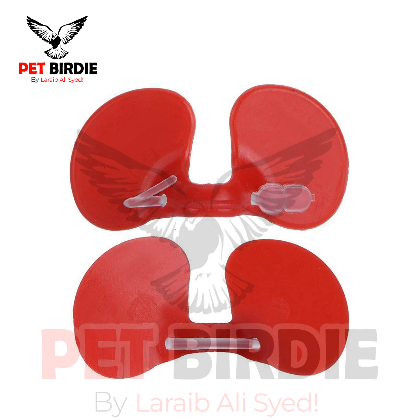 Chicken Eye Blinder Glasses – Pinless Peepers