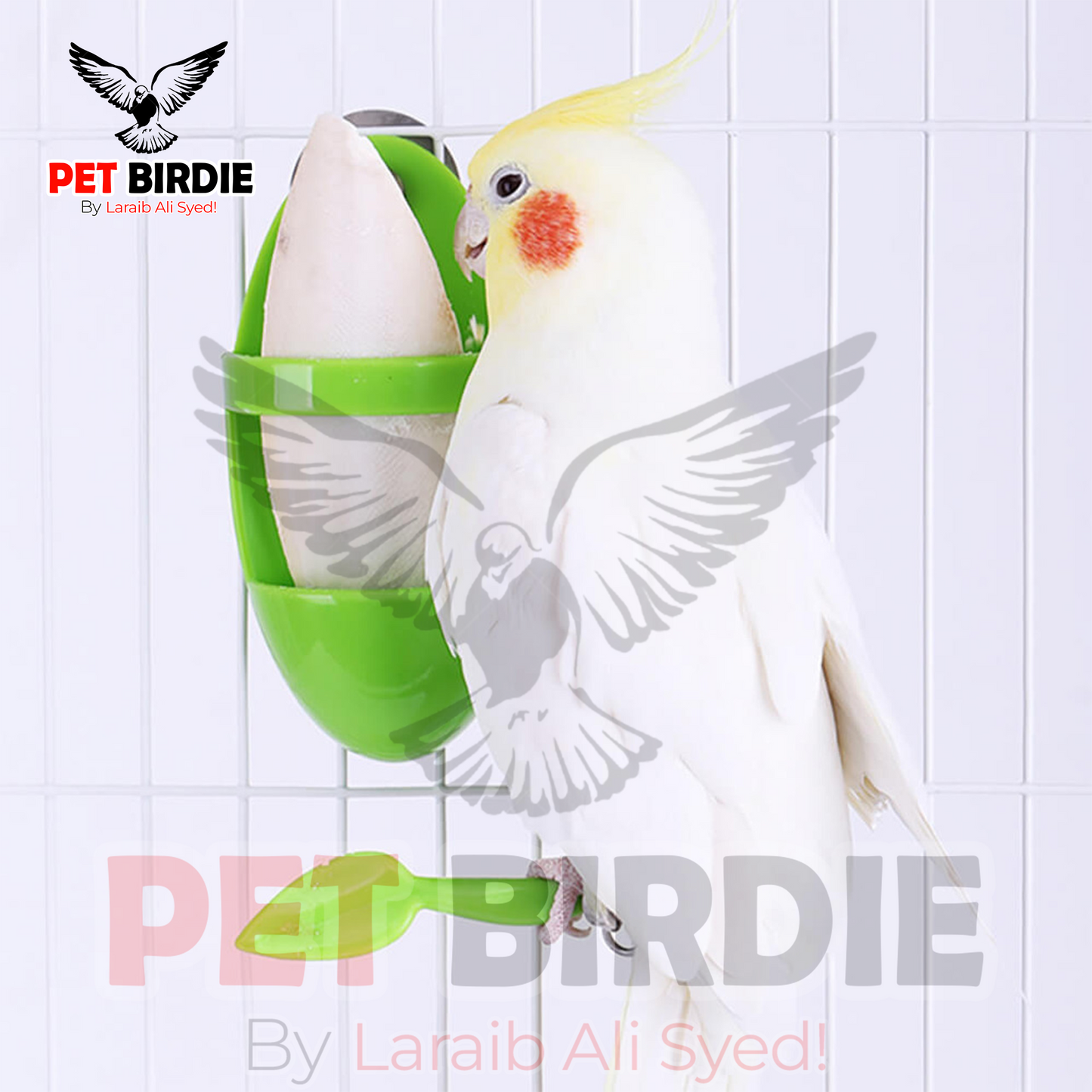 White Cuttle Holder for lovebirds