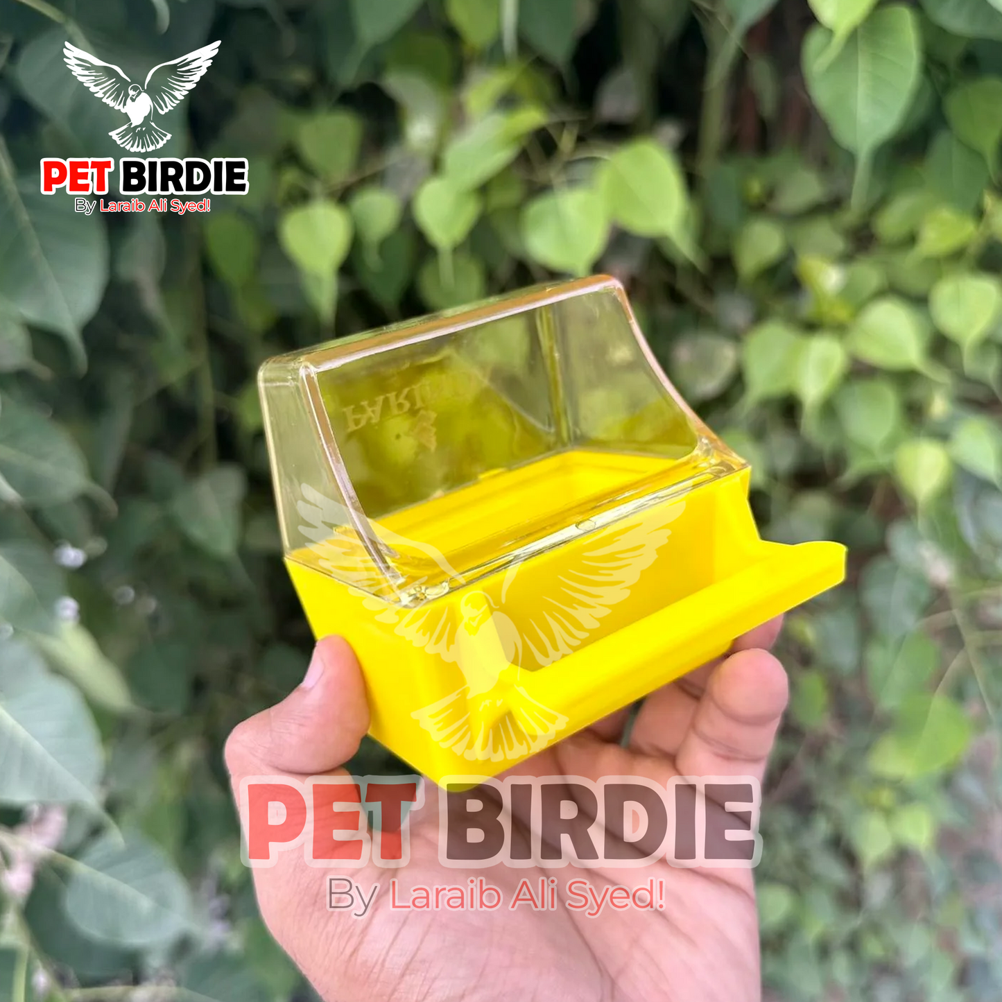 Grit Feeder- Durable Solution for offering Grit