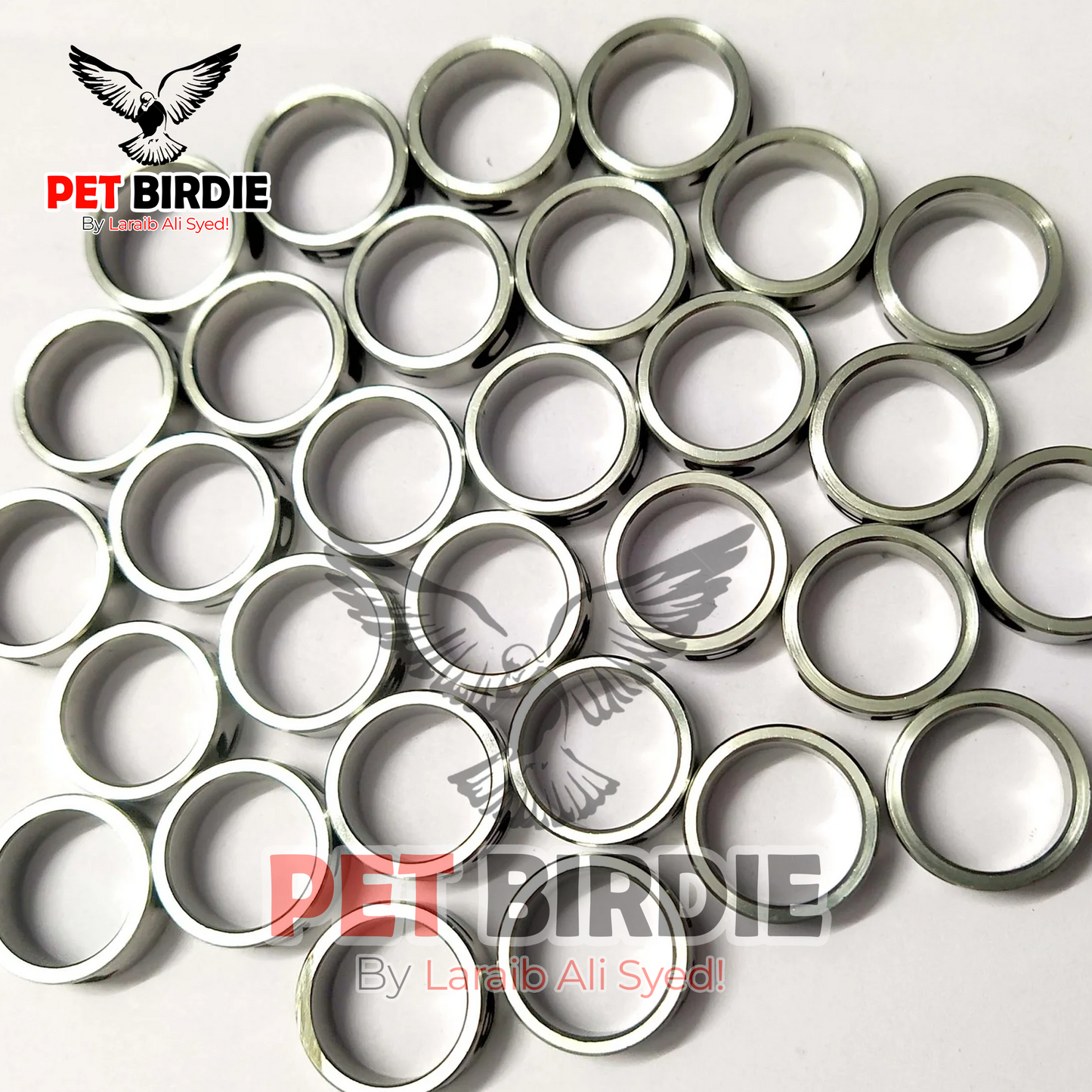 Ring For African Gray - For identification & Tracking