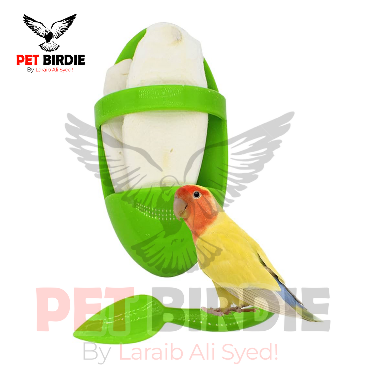 White Cuttle Holder for lovebirds