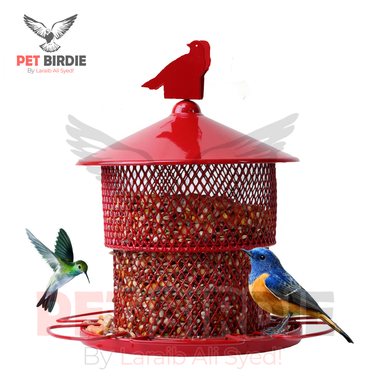 Bird Hanging Feeder