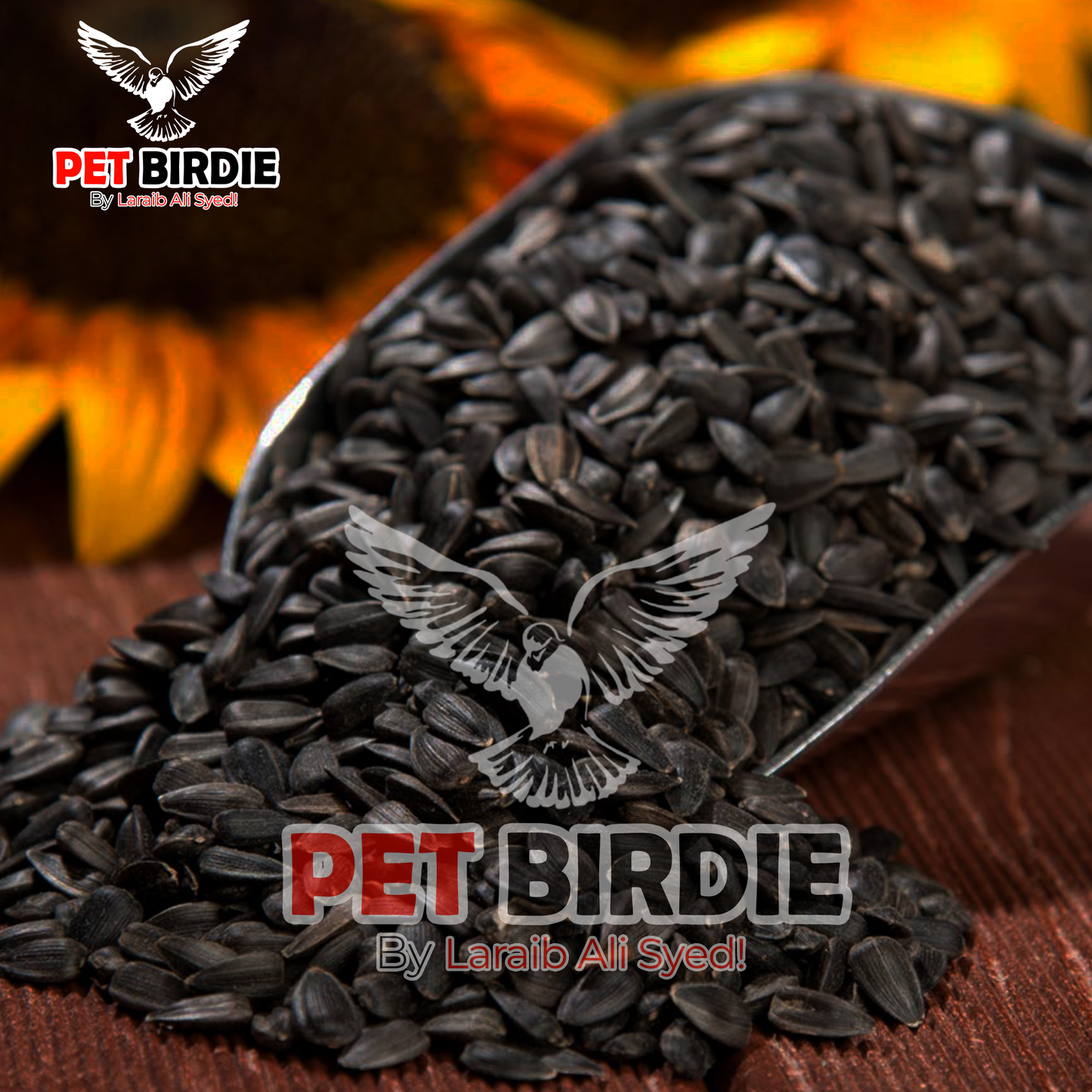 Black Sun Flower For Birds