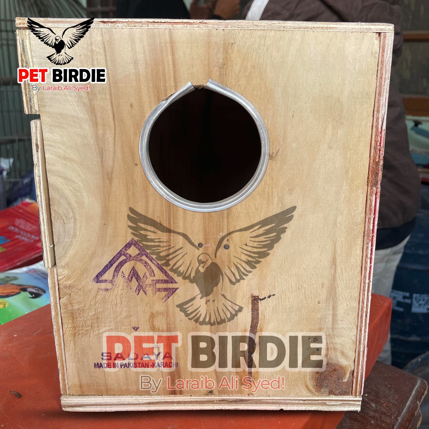 Cockatiel Box