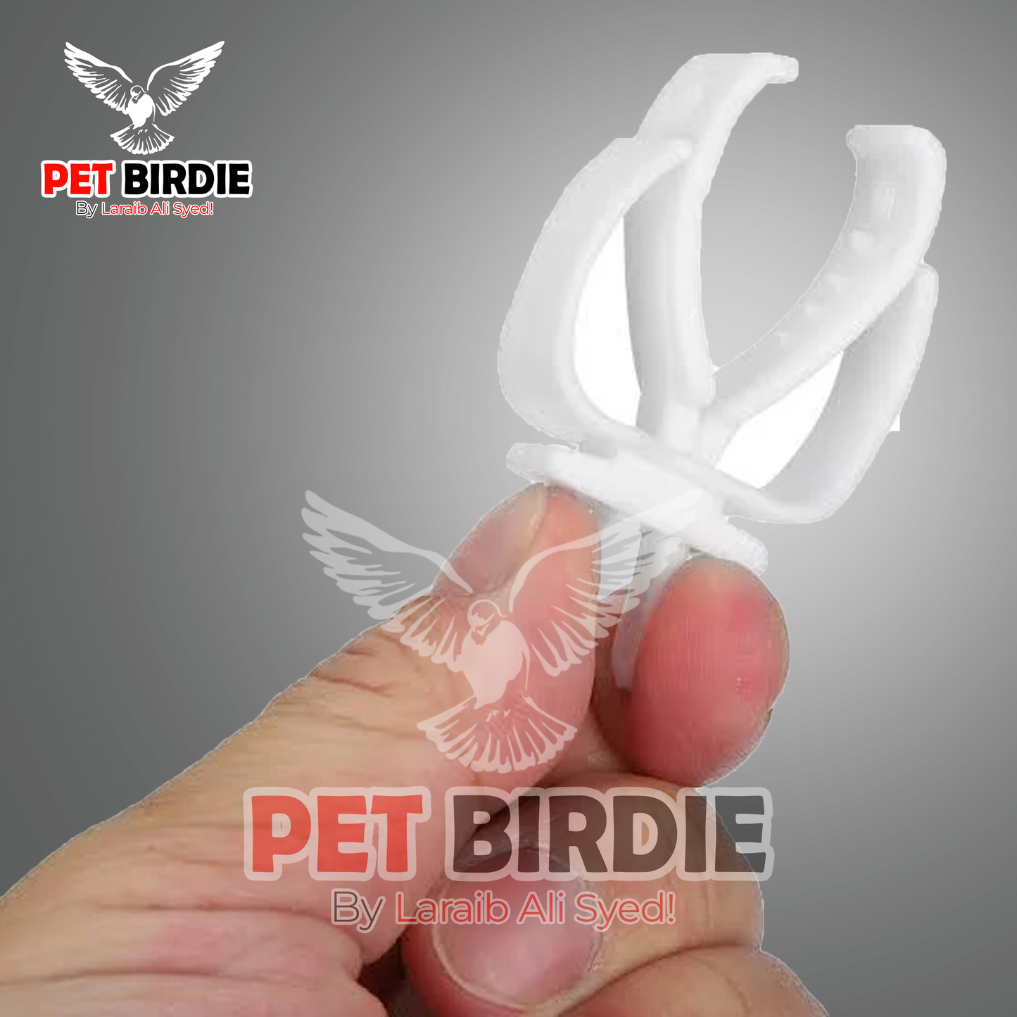 Cuttlefish Bone Clip - Shark Grip