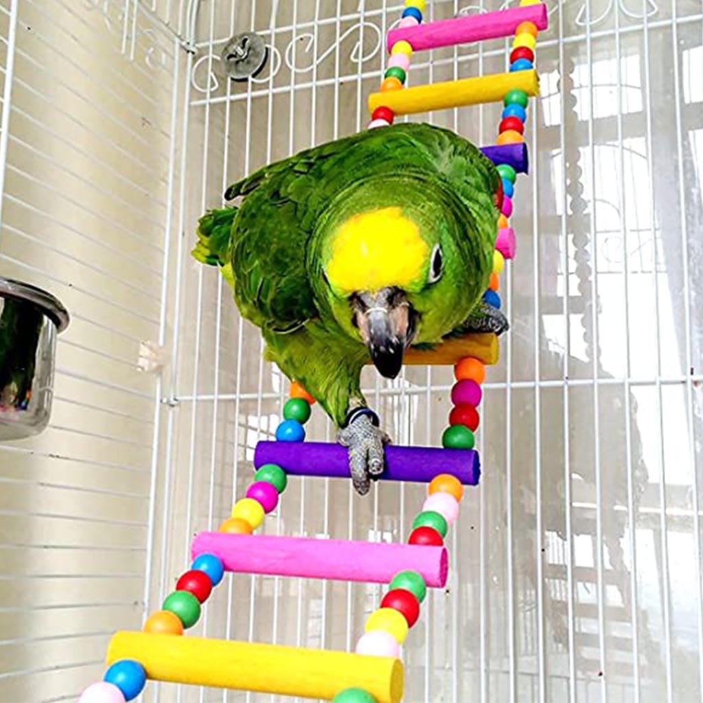 Bird Ladder Toy