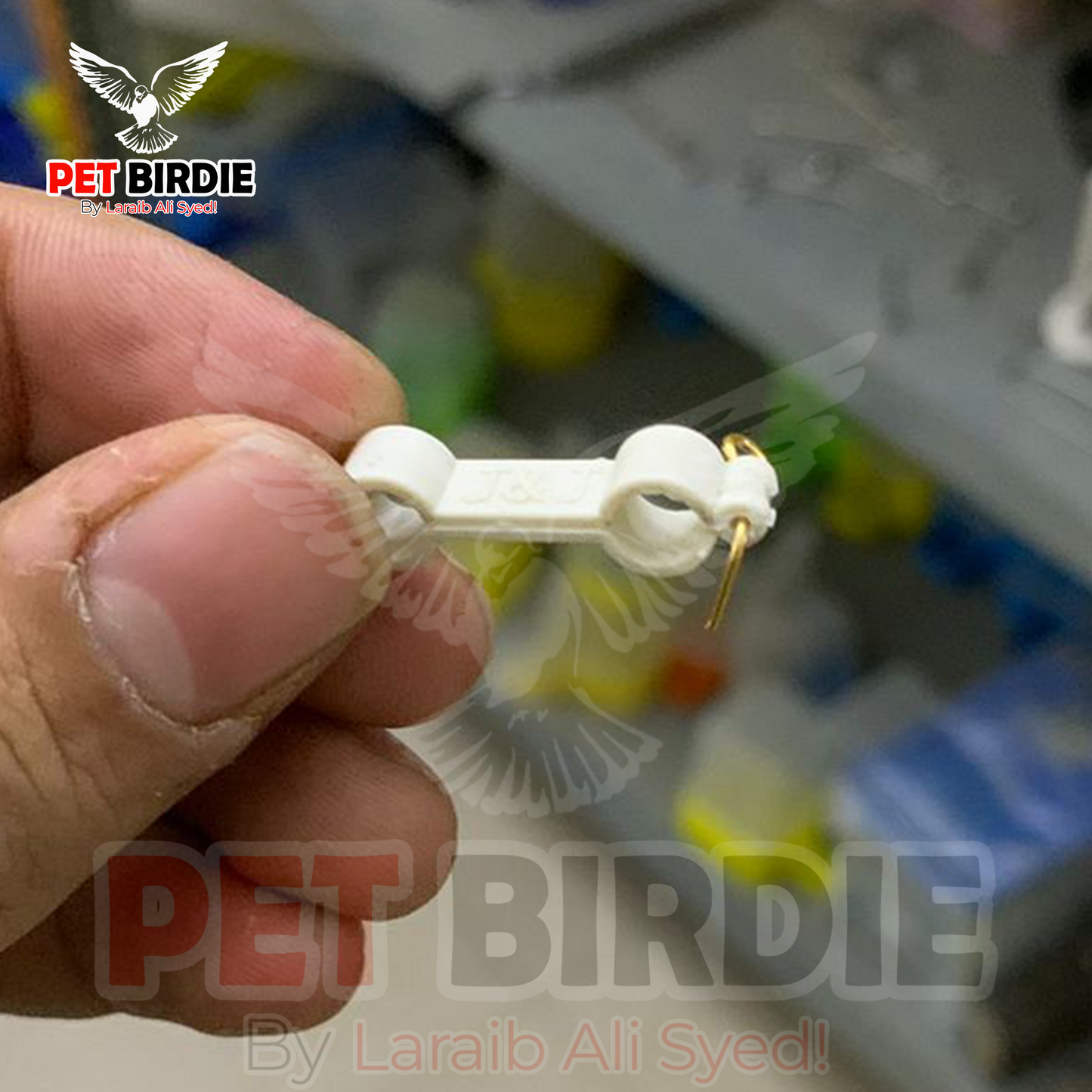 Bird Leg Hobble. Now No More Splay Legs