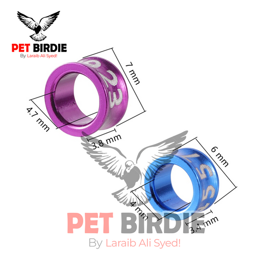 Ring For Love Birds - For identification & Tracking