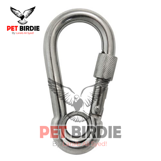 Lock Hook With Screw - High Quality Stainless Steel
