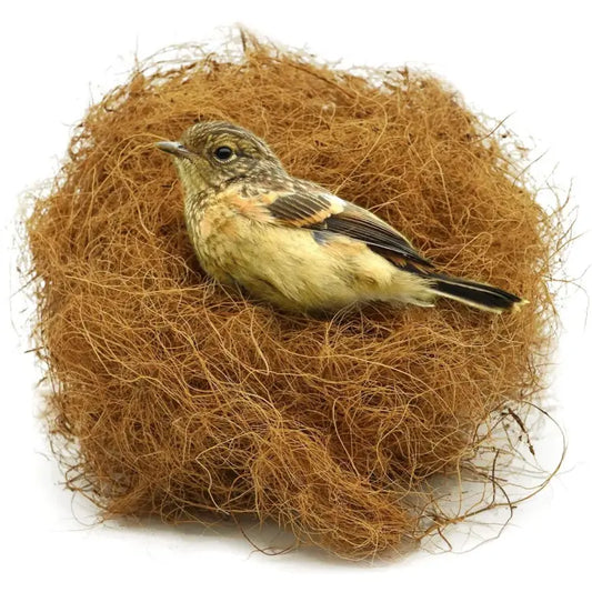 Birds Nesting Material