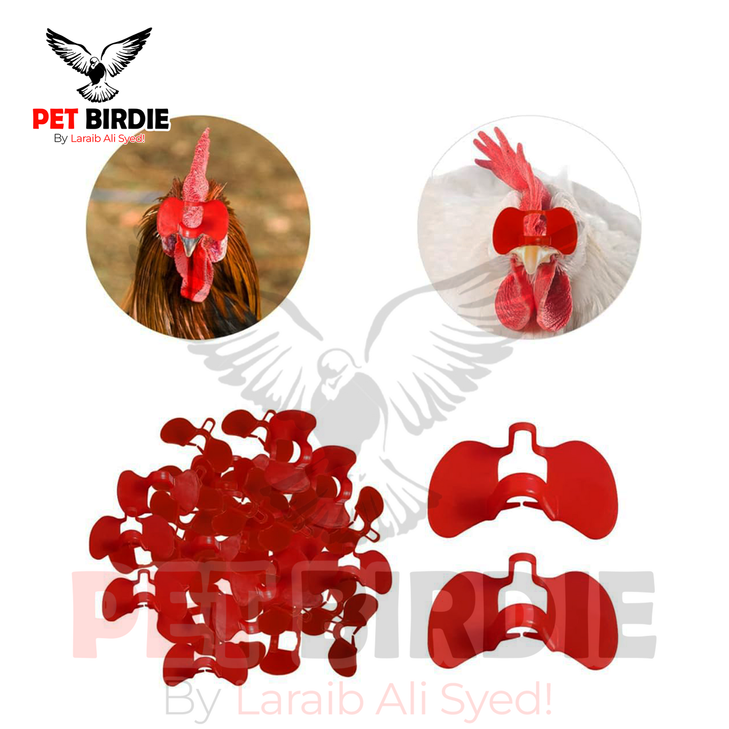 Chicken Eye Blinder Glasses – Pinless Peepers