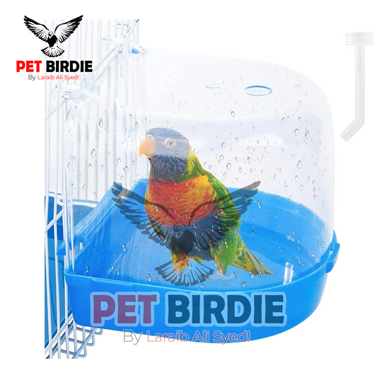 Bird Bath Tub - Provide Essential Care & Fun for Birds