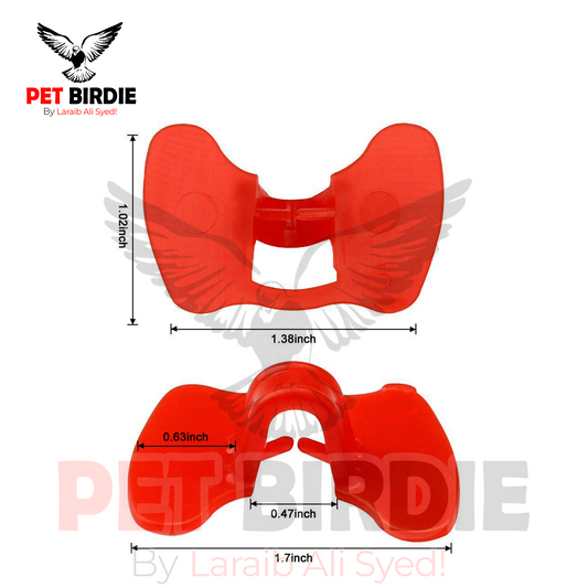 Chicken Eye Blinder Glasses – Pinless Peepers