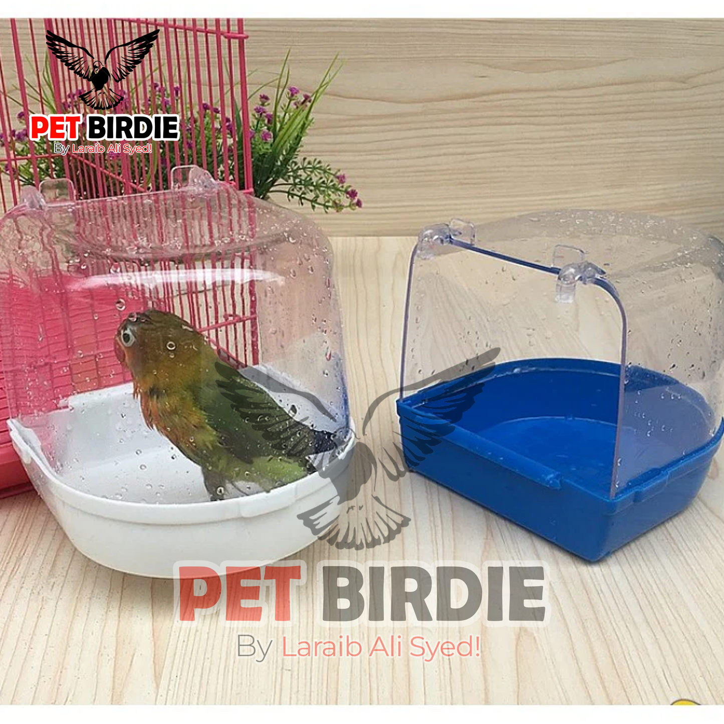 Bird Bath Tub - Provide Essential Care & Fun for Birds