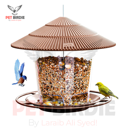 Bird Hanging Feeder