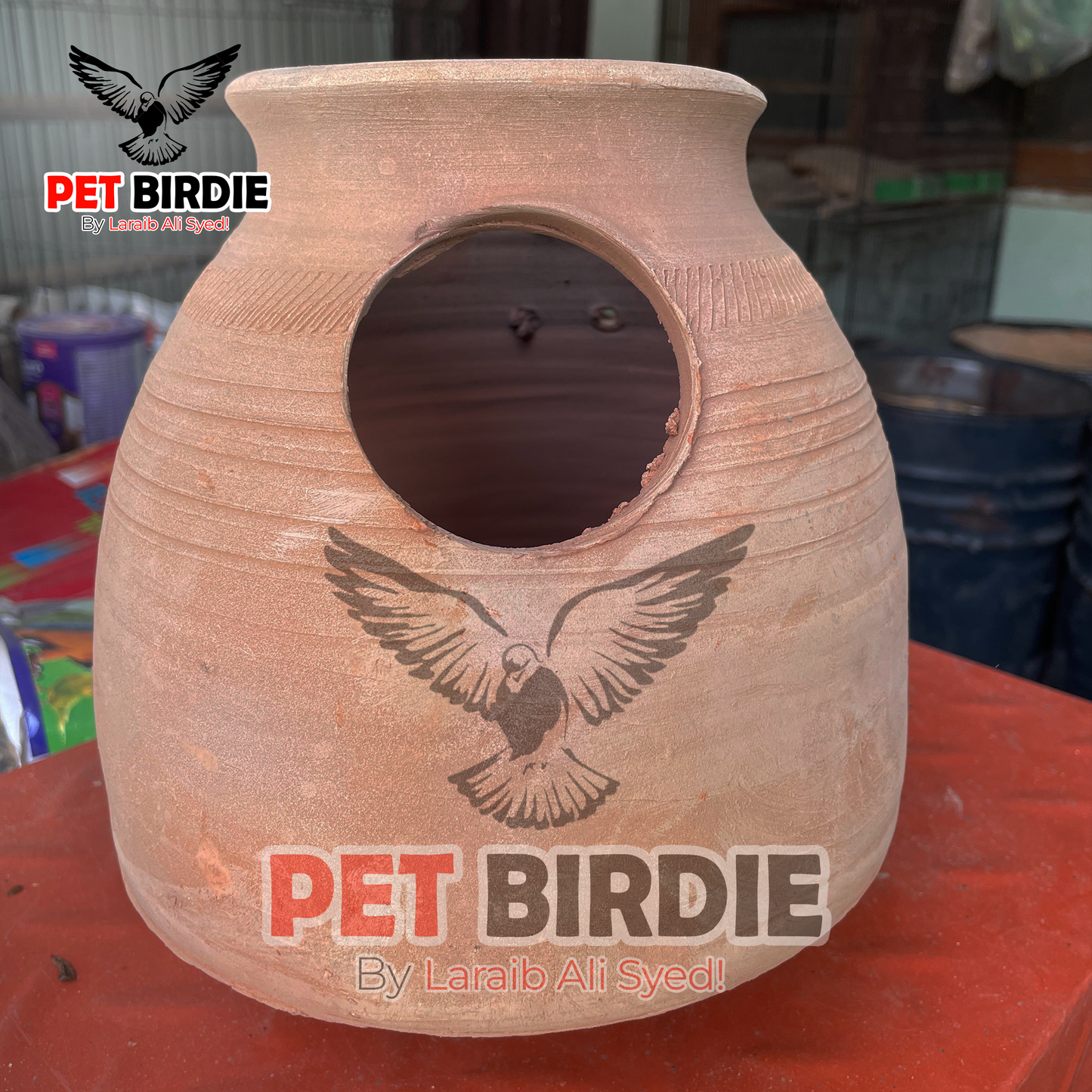 Love Bird Matki