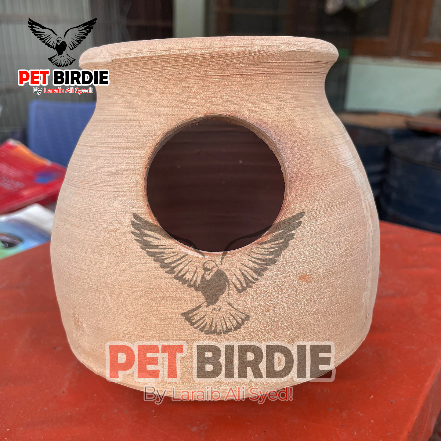 Finch Big Matki