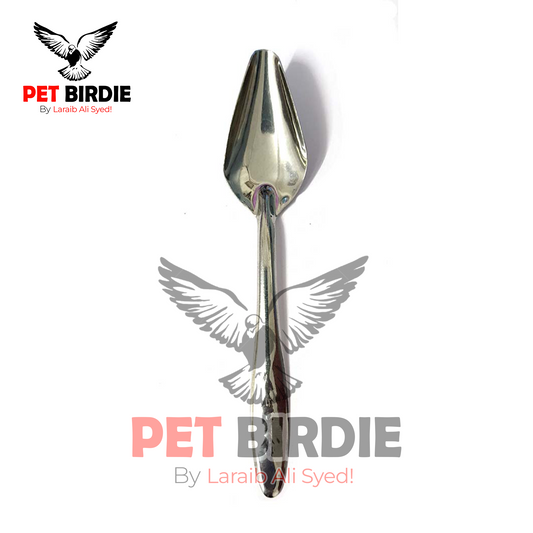 Feeding Spoon - For Birds Hand Feeding