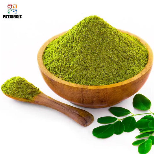 Moringa Powder Organic